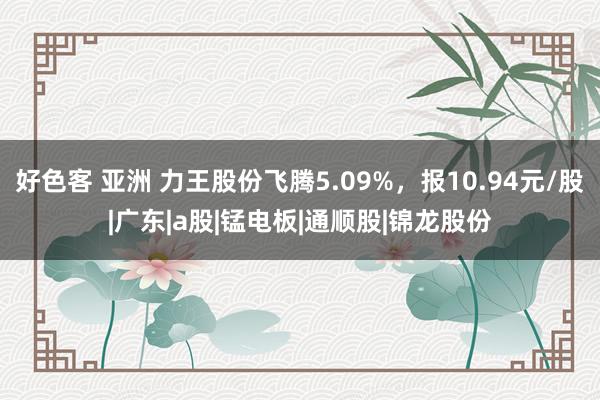 好色客 亚洲 力王股份飞腾5.09%，报10.94元/股|广东|a股|锰电板|通顺股|锦龙股份