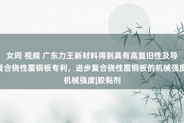 女同 视频 广东力王新材料得到具有高复旧性及导热性的复合挠性覆铜板专利，进步复合挠性覆铜板的机械强度|胶黏剂